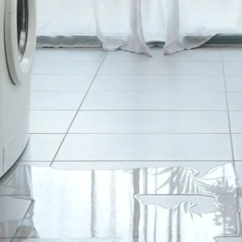 Appliance Leak Cleanup in Adair County, MO