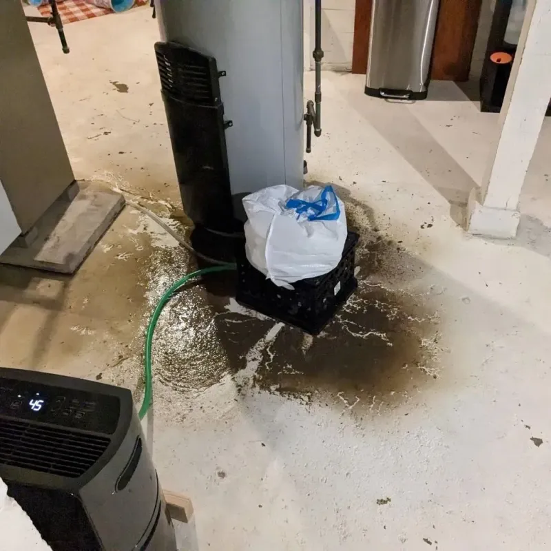 Sewage Backup Cleanup Service in Adair County, MO